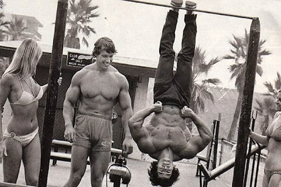 Meinhard Schwarzenegger bio