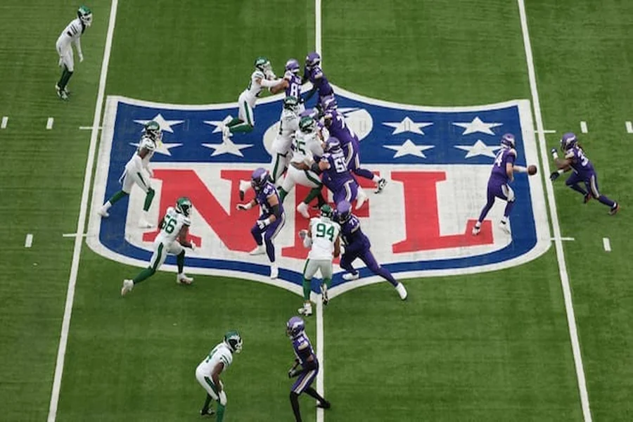 minnesota vikings vs detroit lions match player 