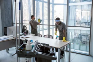 Professional Cleaning