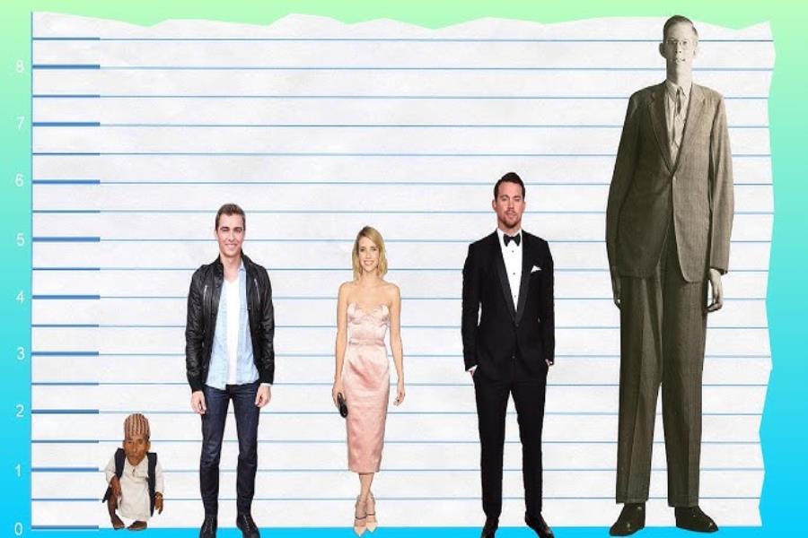 How Tall Is Dave