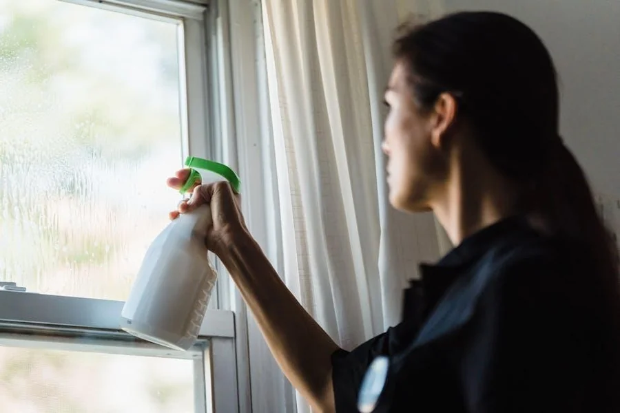 Cleaning Services
