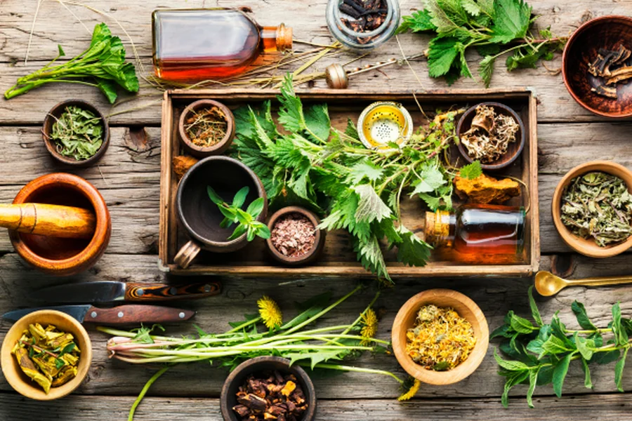 The Power of Medicinal Plants: Traditional Herbal Remedies for Modern Wellness